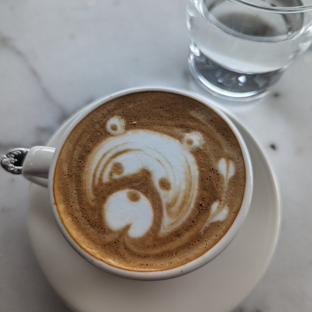 Meet your Posher, Gabriella